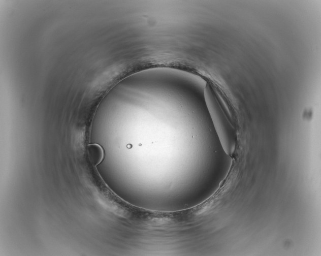 X0000094190066200711021038