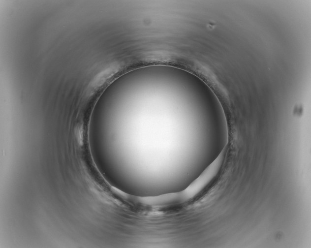 X0000094190068200711021038