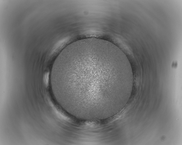 X0000094190070200711021038