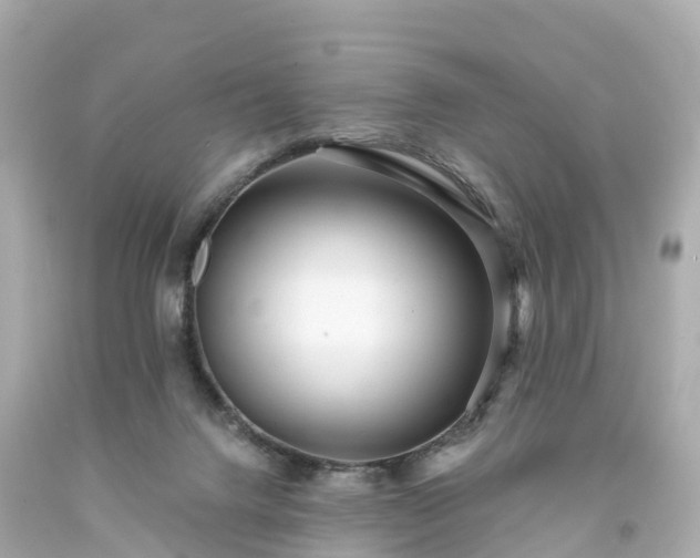 X0000094190072200711021038