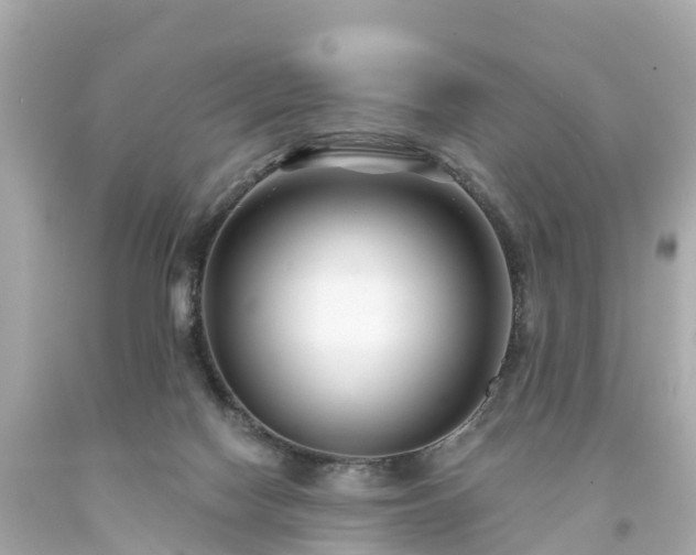 X0000094190074200711021038