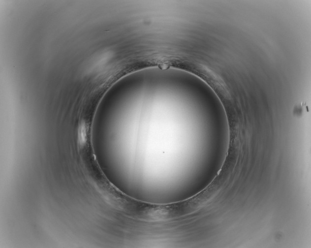 X0000094190075200711021038