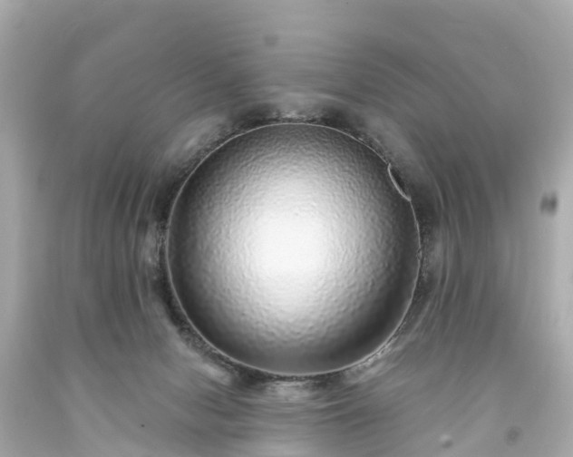 X0000094190078200711021038