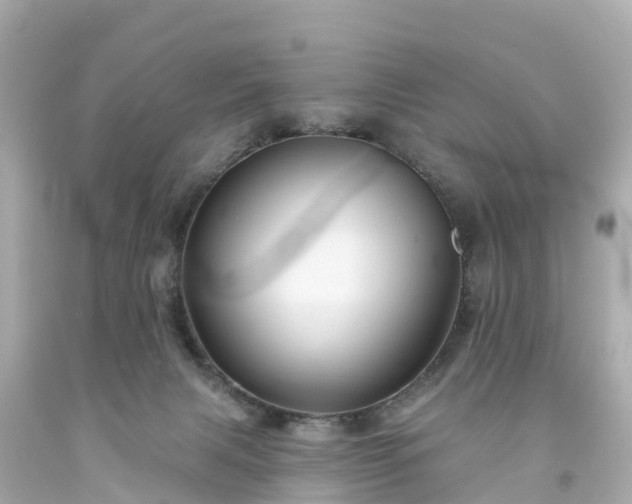 X0000094190079200711021038