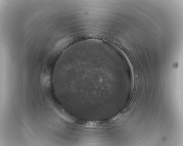 X0000094190080200711021038