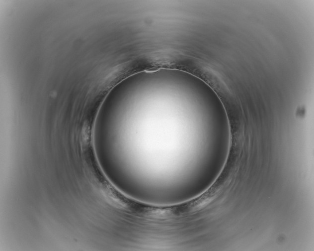 X0000094190081200711021038