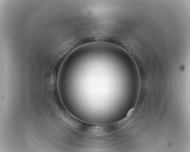 X0000094190082200711021038