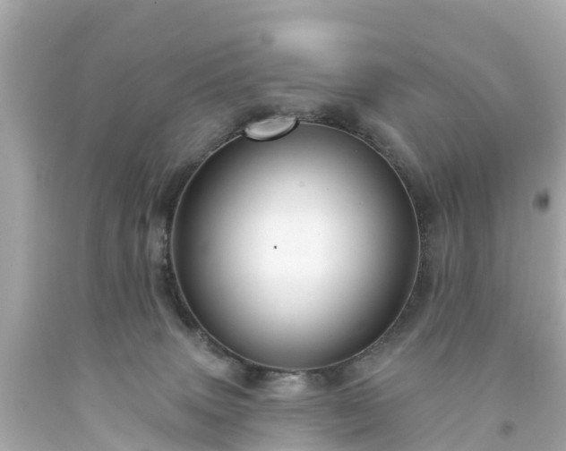 X0000094190083200711021038