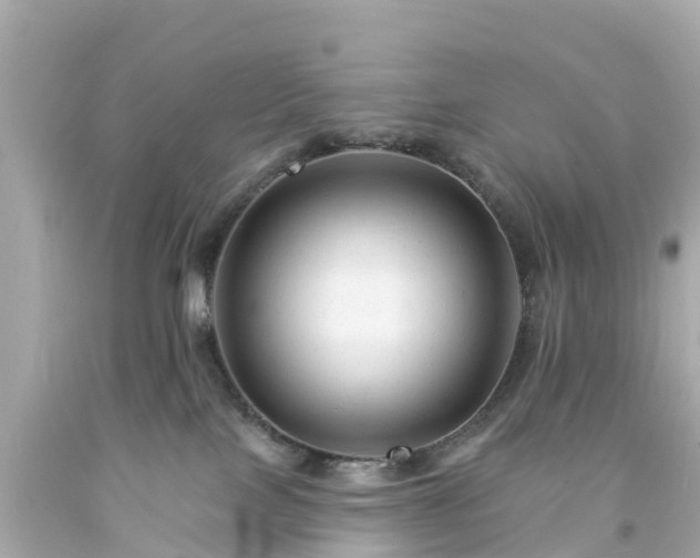 X0000094190089200711021038