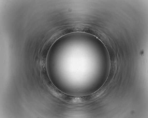 X0000094190091200711021038