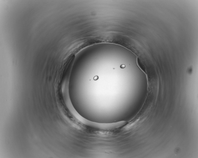 X0000094190092200711021038