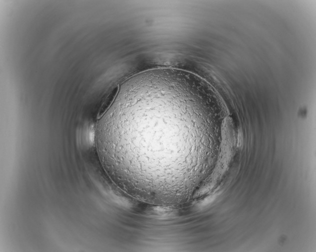 X0000094190095200711021038