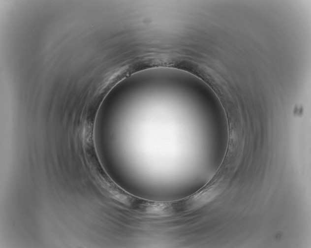 X0000094190096200711021038