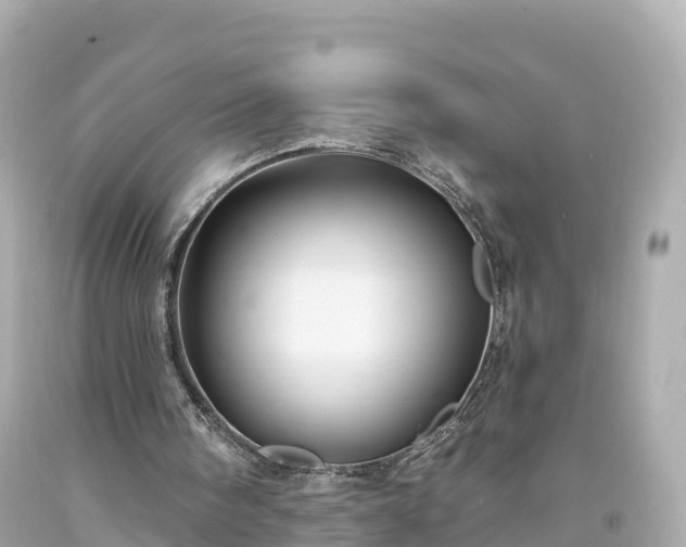 X0000094190098200711021037