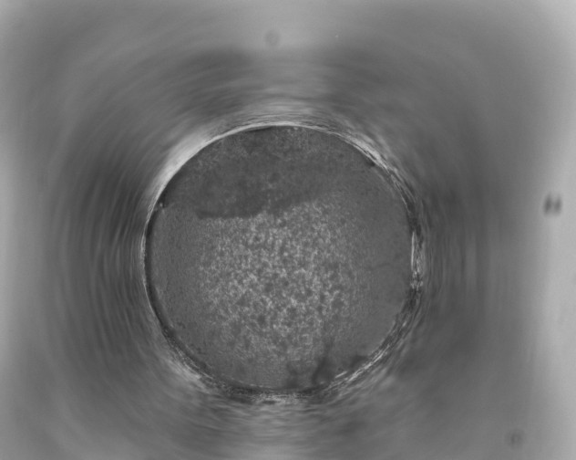 X0000094190099200711021037