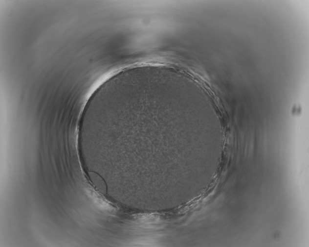 X0000094190100200711021037