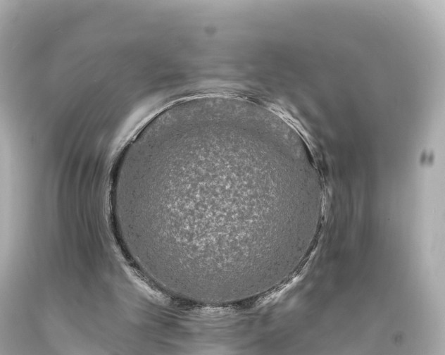 X0000094190101200711021037