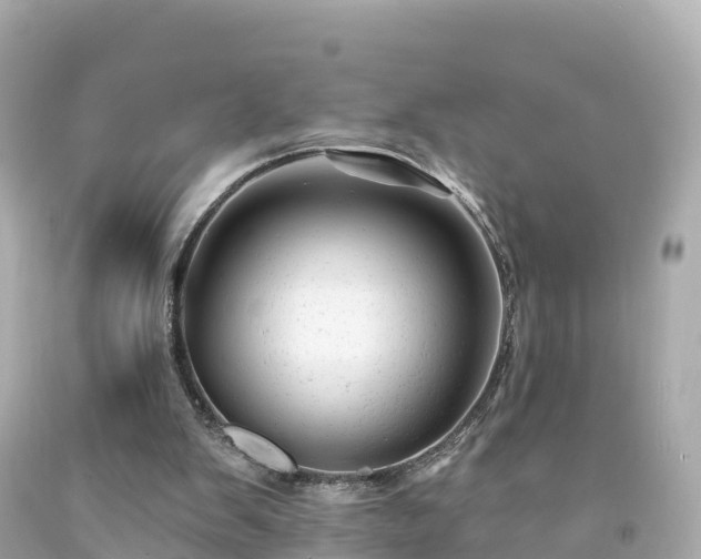 X0000094190103200711021037