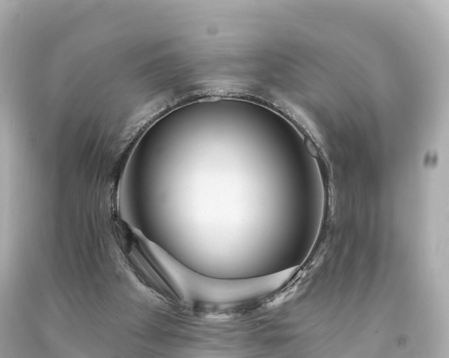 X0000094190105200711021037