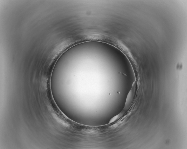 X0000094190106200711021037