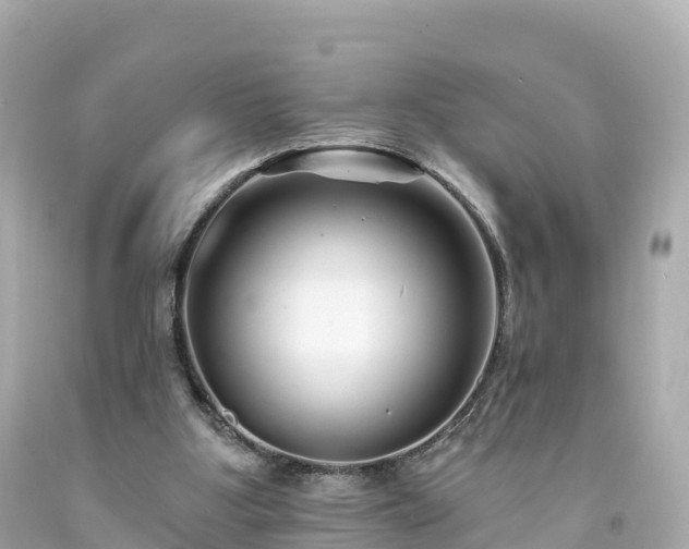 X0000094190107200711021037