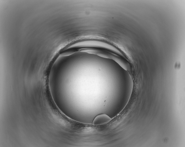 X0000094190111200711021037