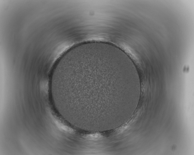 X0000094190112200711021037