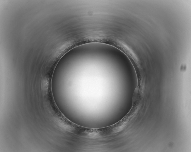 X0000094190113200711021037