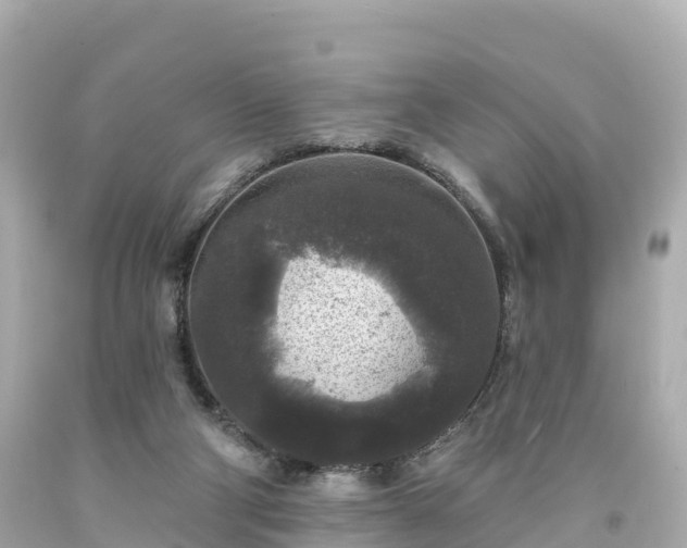 X0000094190114200711021037