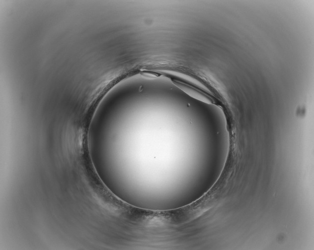 X0000094190115200711021037