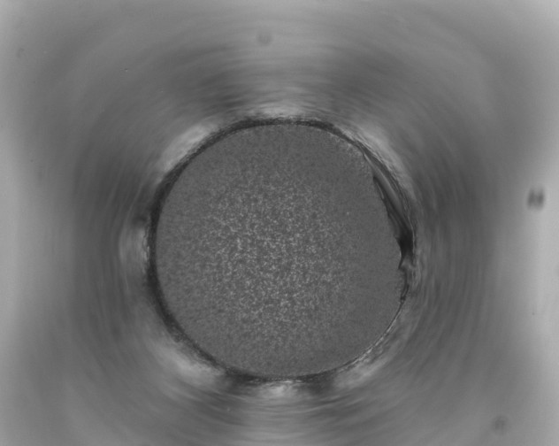 X0000094190116200711021037