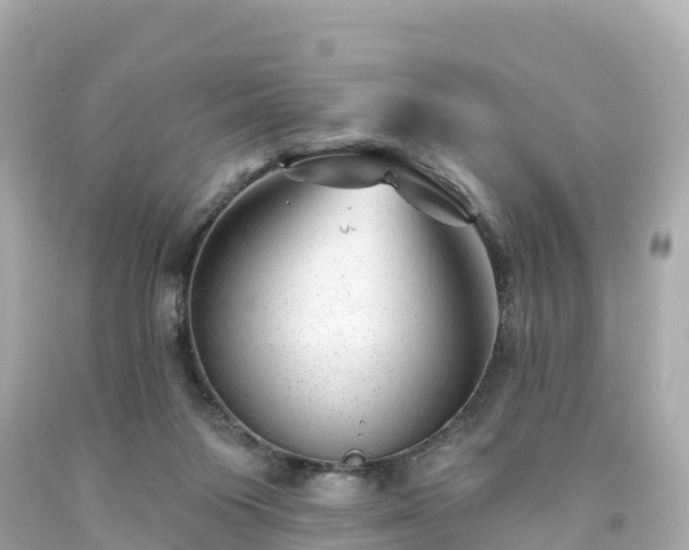 X0000094190119200711021037