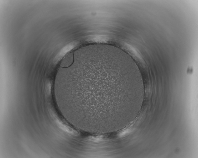 X0000094190120200711021037