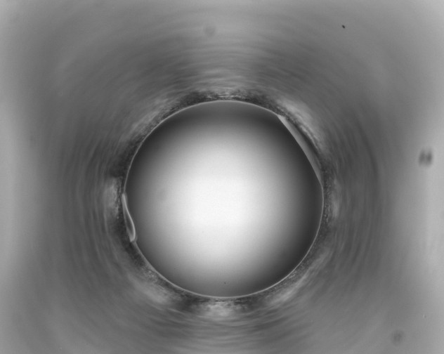 X0000094190121200711021037