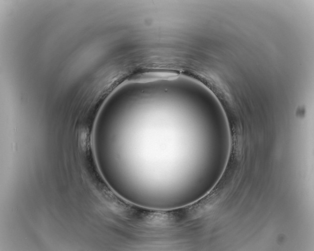 X0000094190123200711021037