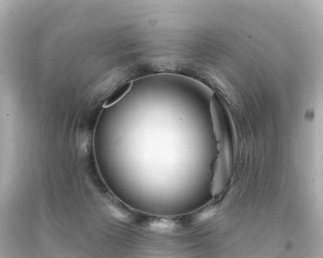 X0000094190125200711021037