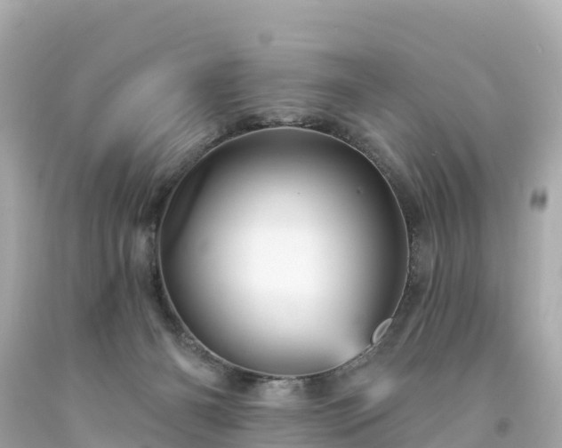 X0000094190126200711021037