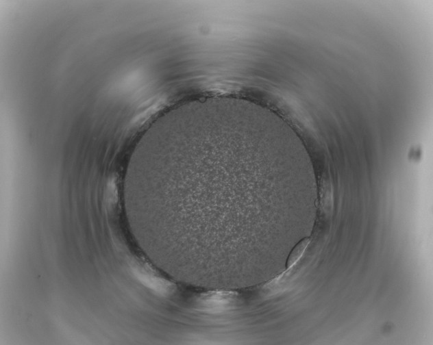 X0000094190128200711021037