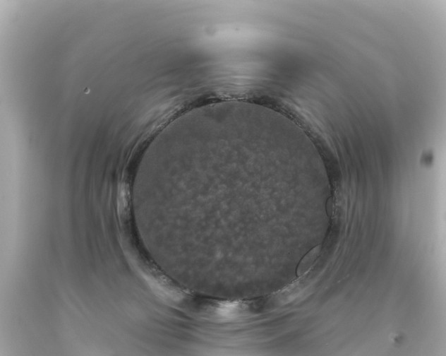 X0000094190130200711021037