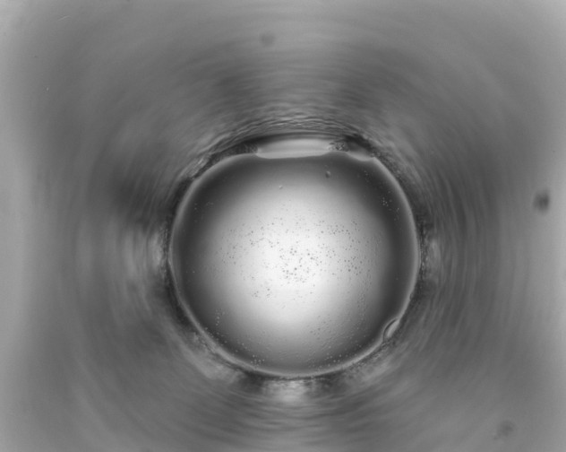 X0000094190131200711021037