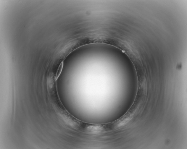 X0000094190133200711021037