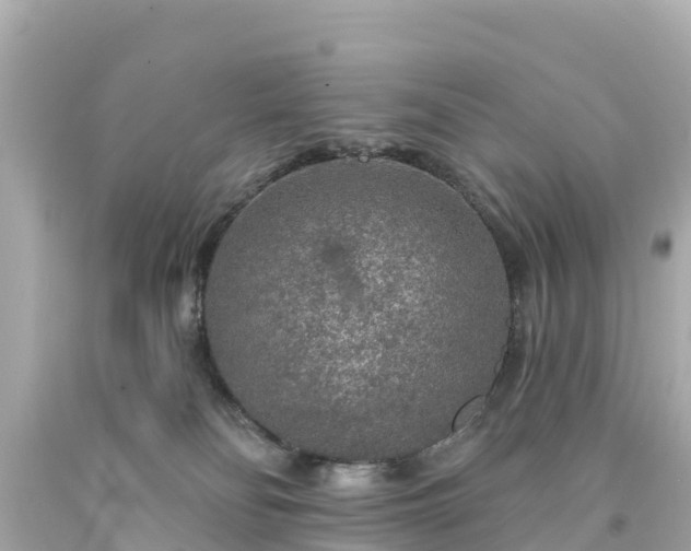 X0000094190134200711021037