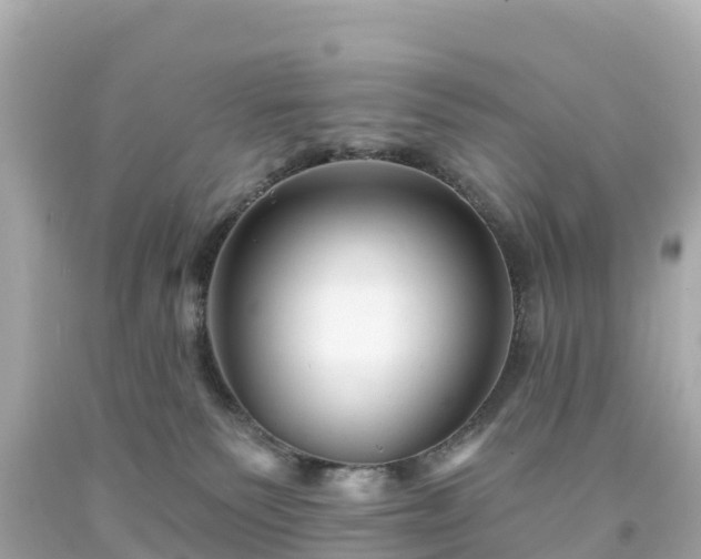 X0000094190135200711021037