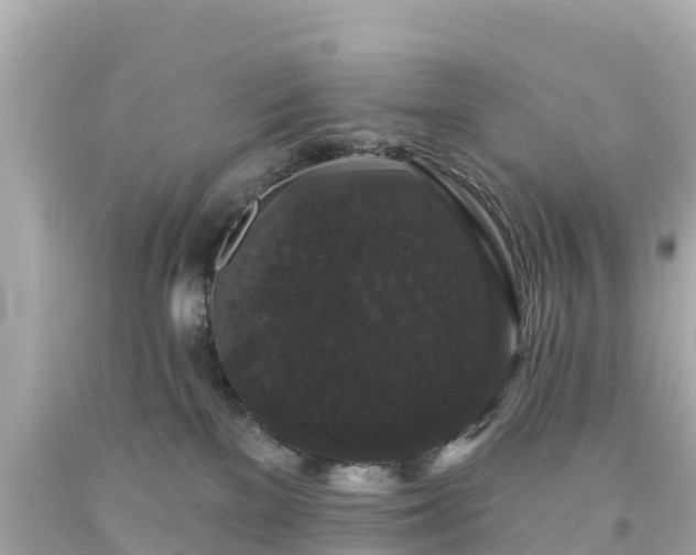 X0000094190137200711021037