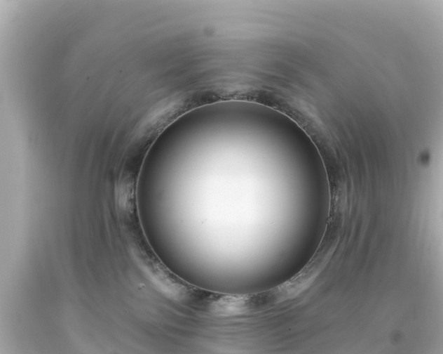 X0000094190138200711021037