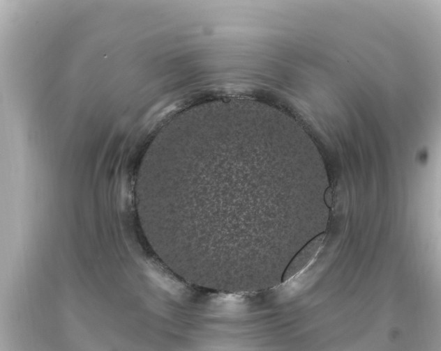 X0000094190140200711021037