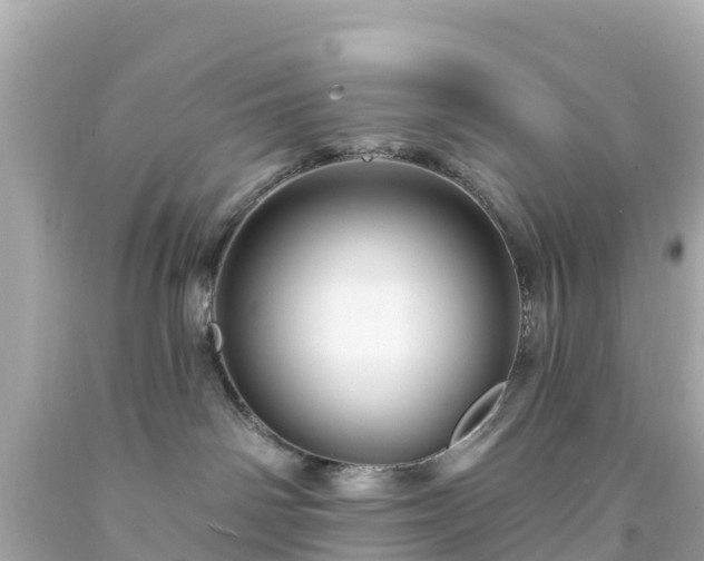 X0000094190142200711021037