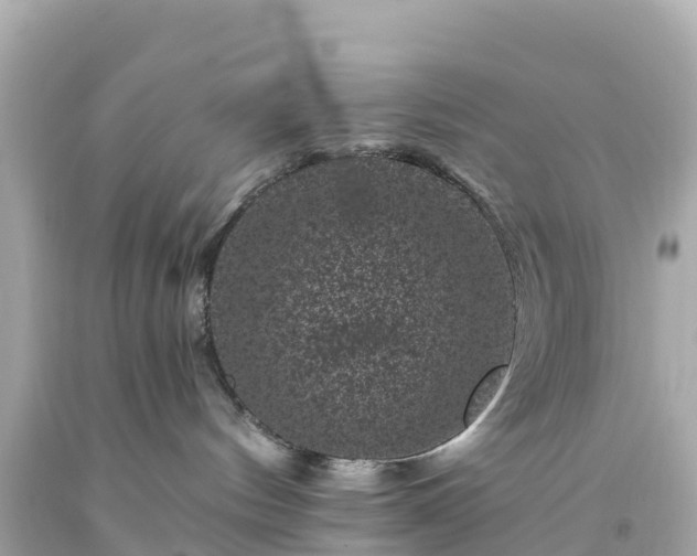 X0000094190144200711021037