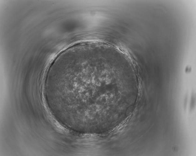 X0000094190145200711021036