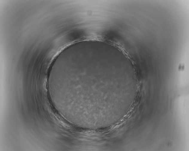 X0000094190146200711021036